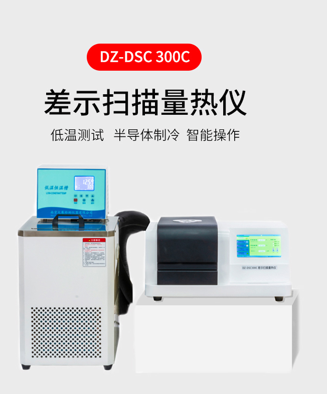 DSC300C-1.jpg